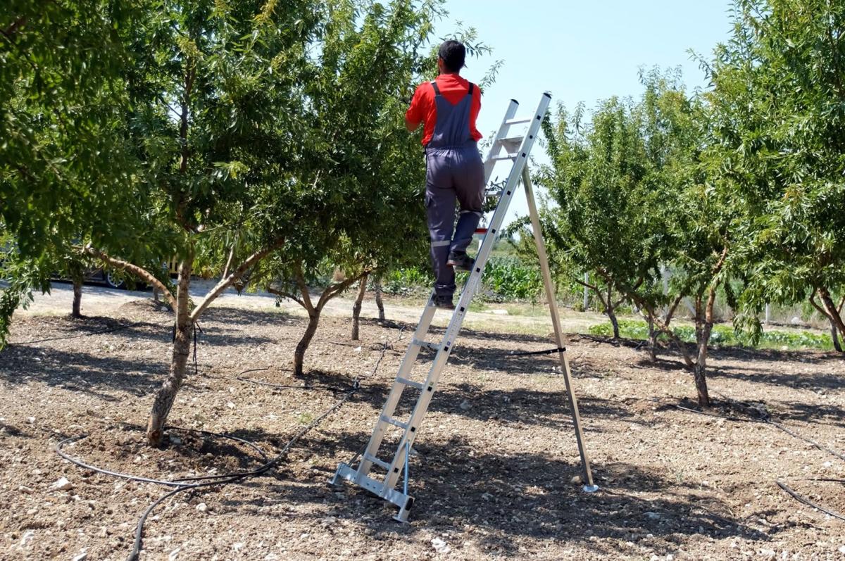 aluminijske-ljestve-vrtne001