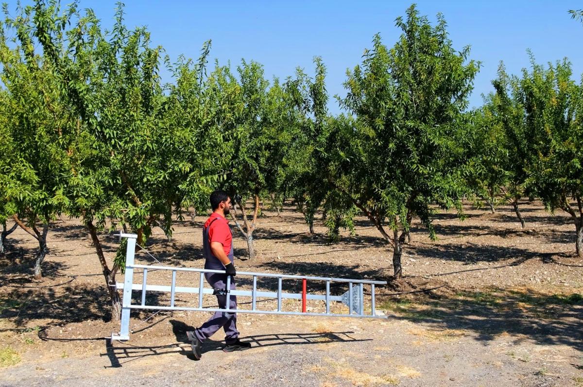 aluminijske-ljestve-vrtne005