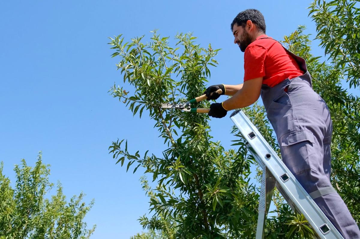 aluminijske-ljestve-vrtne006