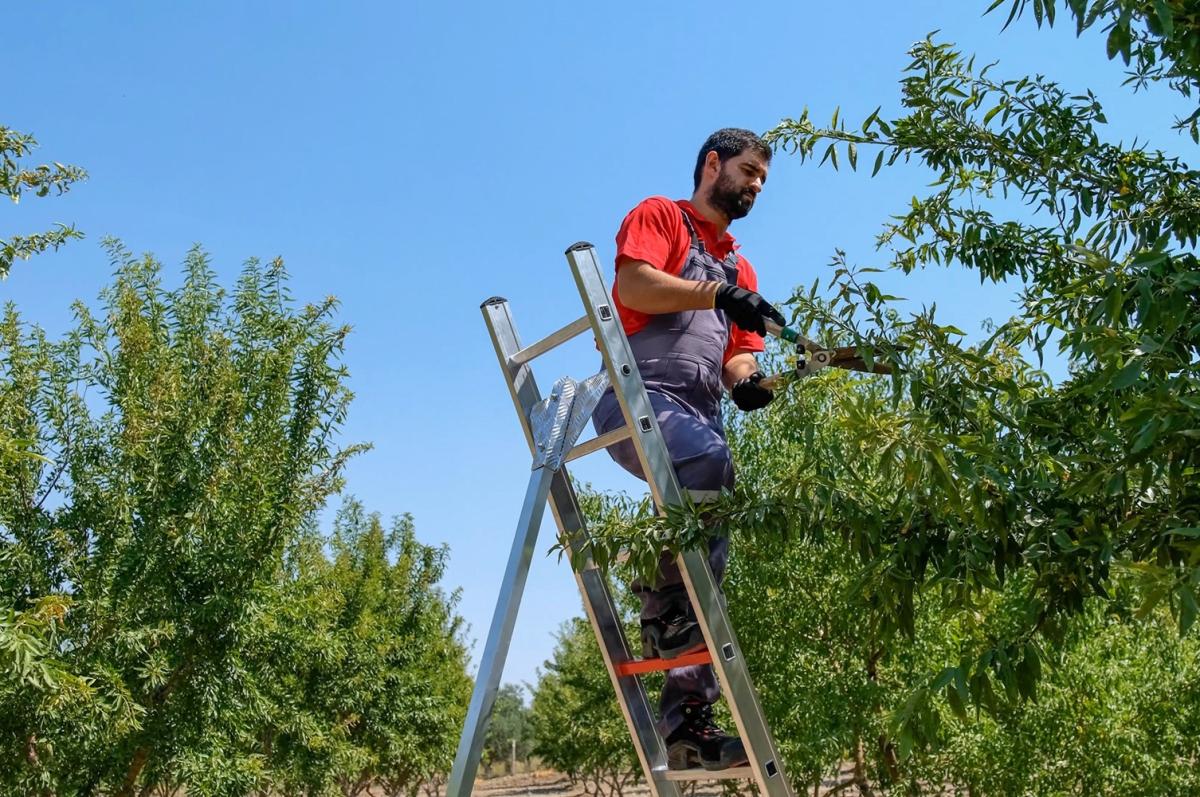 aluminijske-ljestve-vrtne007