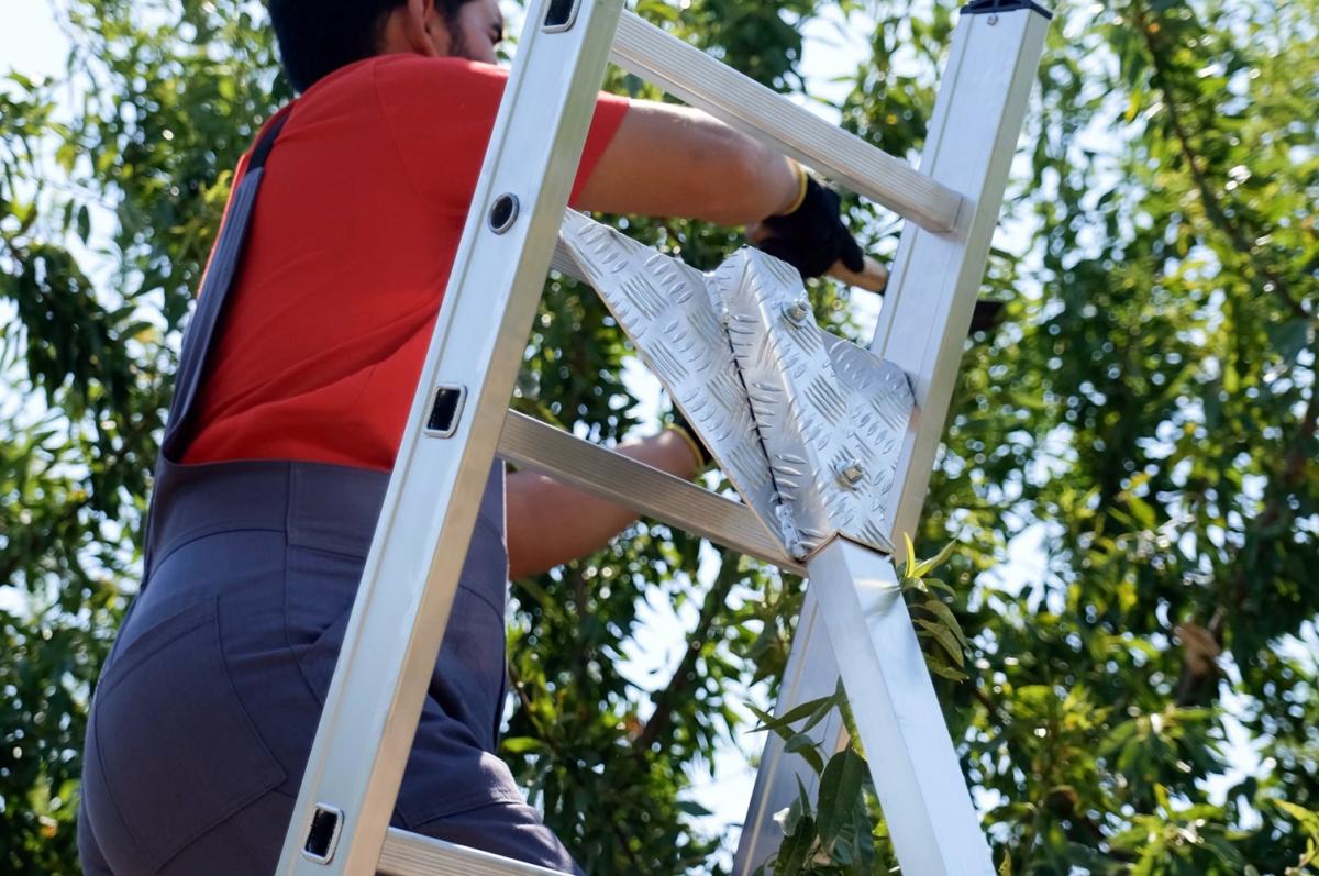 aluminijske-ljestve-vrtne008