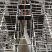 sustavi-za-pristup-repu-zrakoplova-tail-docking-systems10